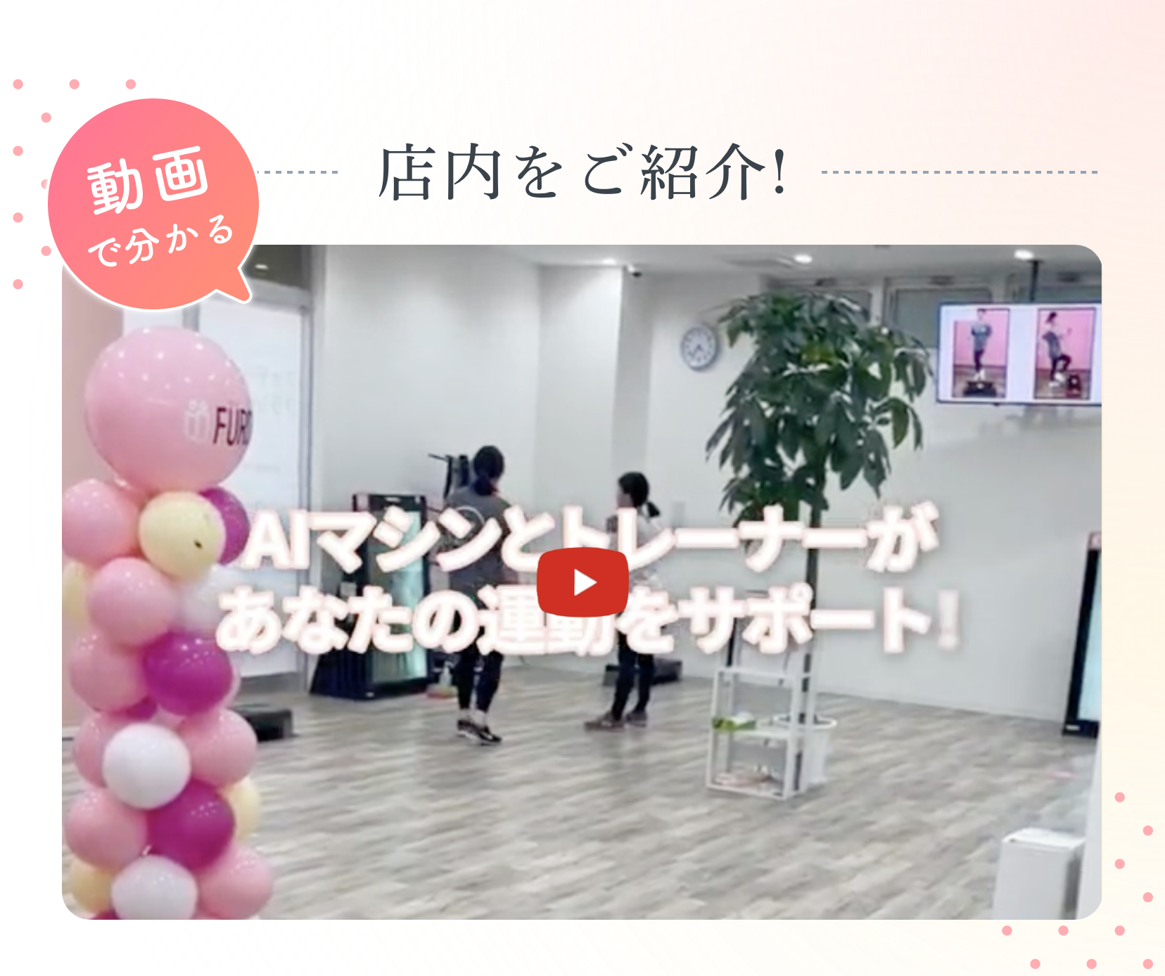 動画で分かる店内を紹介！