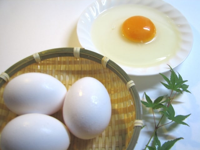 タンパク質が多い卵