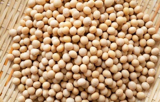 大豆のタンパク質の特徴は？3つの効果と摂取方法を解説
