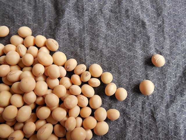 筋トレに効果的な大豆