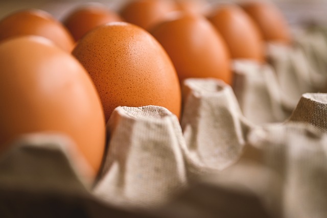 たんぱく質が豊富な卵
